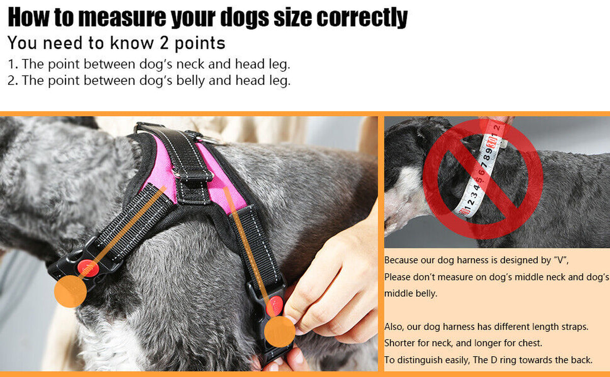 Adjustable No-Pull Dog Harness for Small, Medium, and Large Breeds