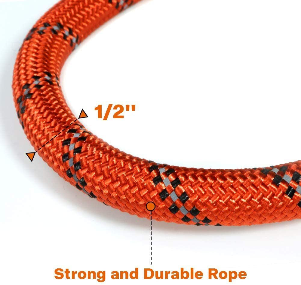 Premium 5FT Reflective Dog Leash with Foam-Padded Handle